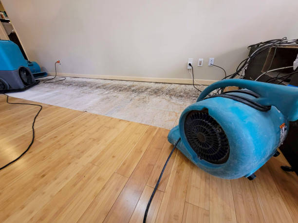 Reliable Basement Flood Cleanup contractor in Carlton, OR by Hirex Water Damage
