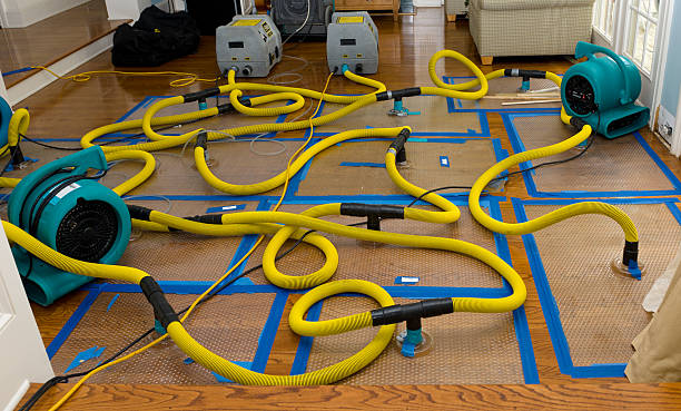 Professional Basement Flood Cleanup technician working in Carlton, OR